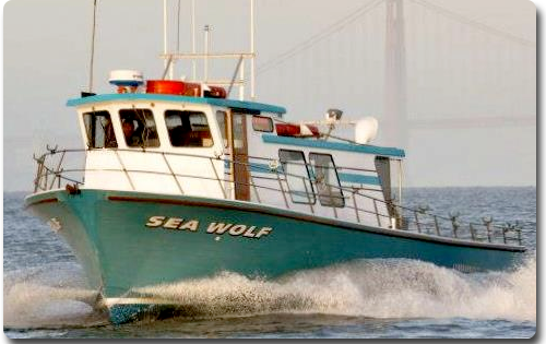 Sea Wolf Boat